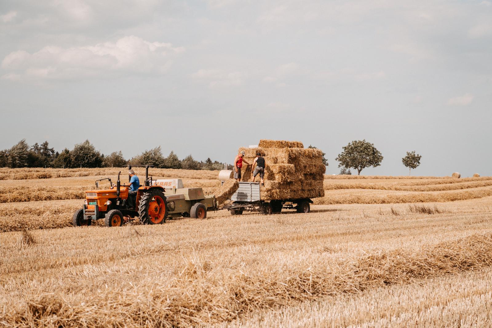 Landwirtschaft1