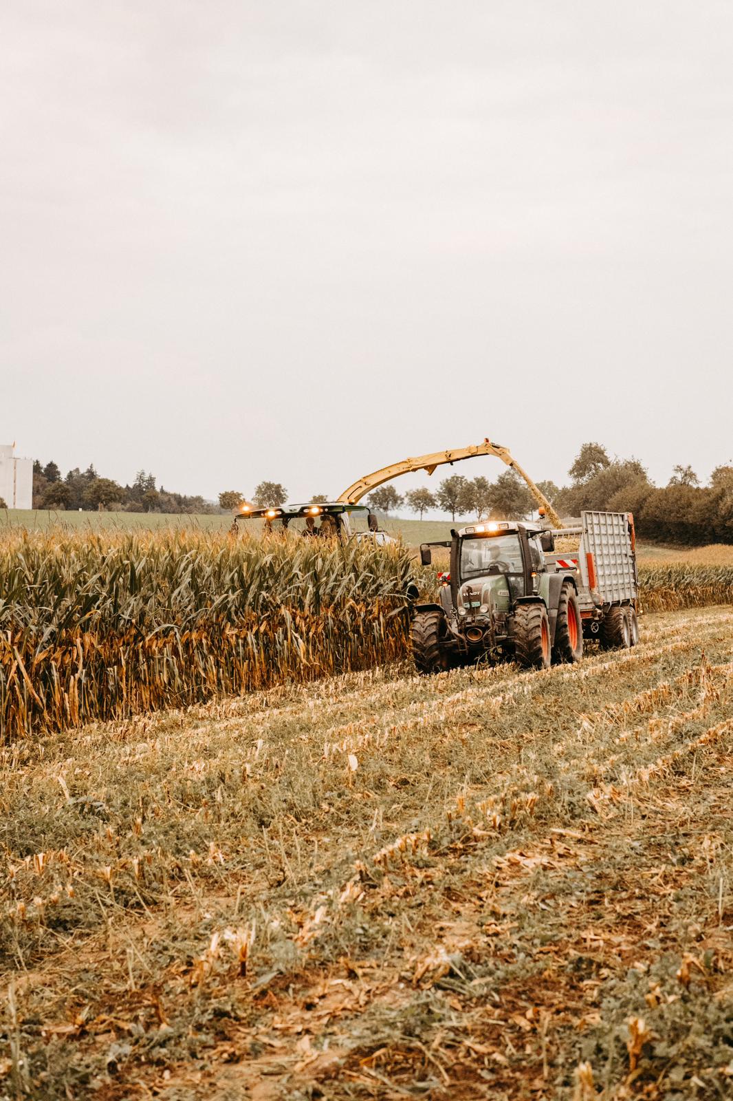 Landwirtschaft2